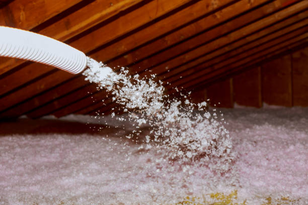 Best Basement Insulation  in Lake Wynonah, PA