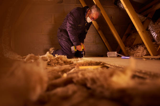 Best Eco-Friendly or Green Insulation Solutions  in Lake Wynonah, PA